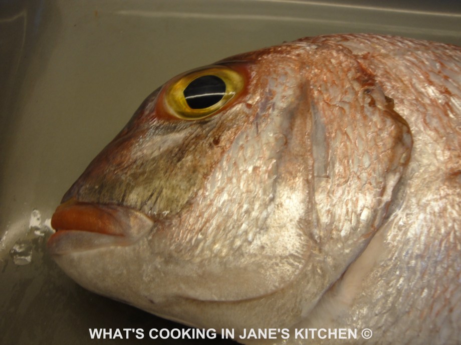 Thai Grilled Fish ©