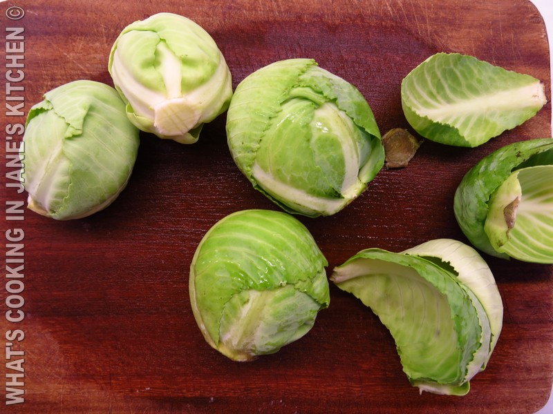 Mini Cabbage, Mega Brussels ©