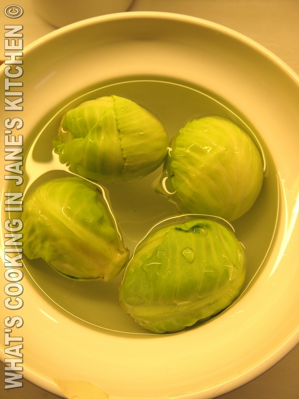 Mini Cabbage, Mega Brussels ©