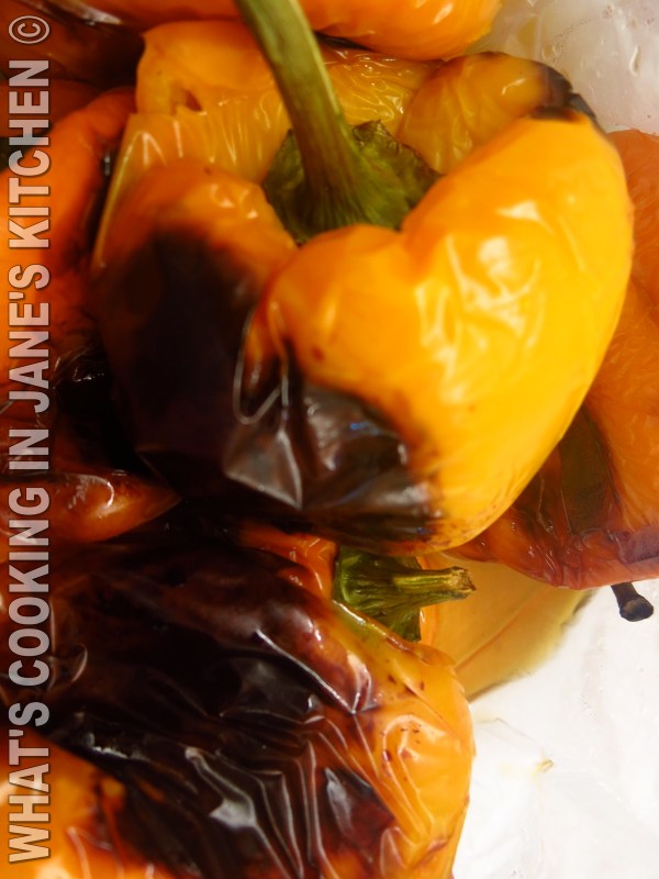 Roasted Bell Pepper Salad ©