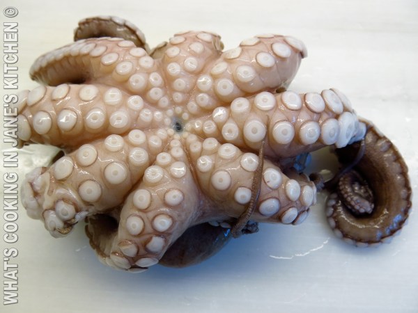 Octopus Stifado ©