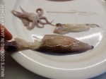 Stuffed Calamar ©