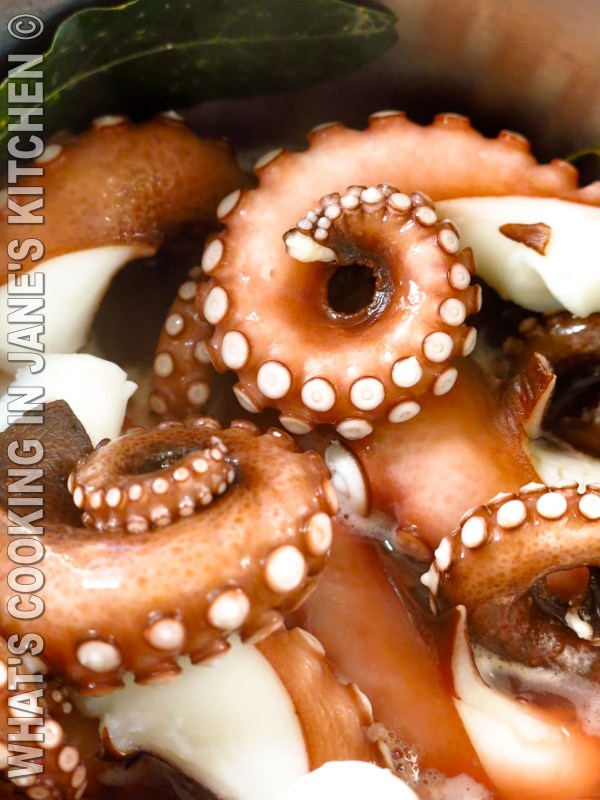 Octopus Stifado ©