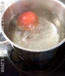 Skinning and De-Seeding Tomatoes&nbsp;©