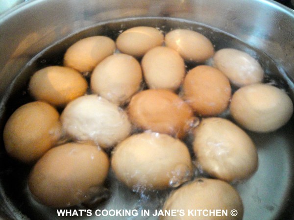 Easter Egg Dyeing ©