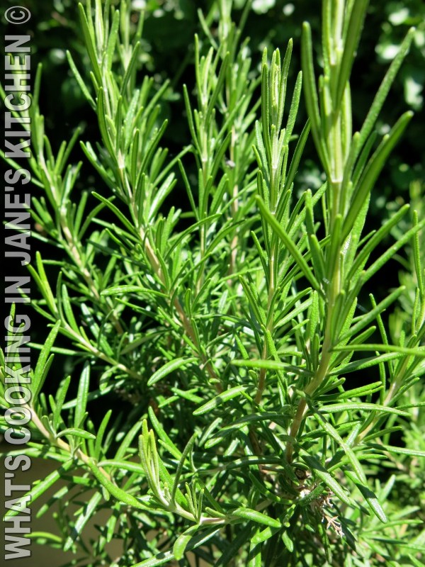 Barbecued Lamb Chops Marinaded In Harissa ©