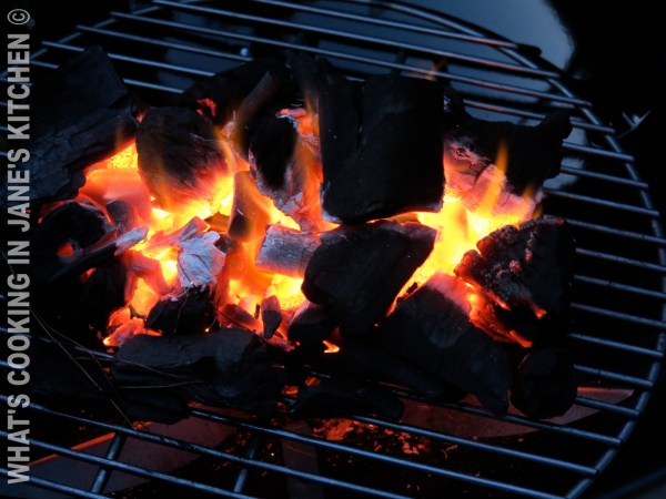 Spicy Burgers On The Grill ©