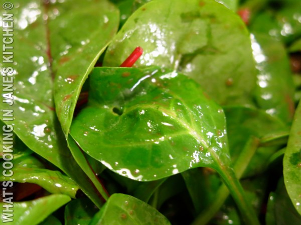 Spinach Pepper And Bacon Salad ©