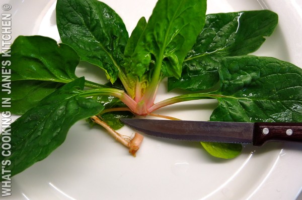 Greek Spinach And Leek Lenten Dishes : Spanakorizo / Prasorizo ©