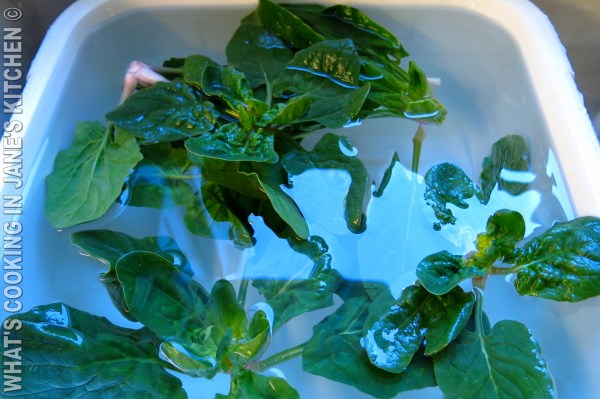 Greek Spinach And Leek Lenten Dishes : Spanakorizo / Prasorizo ©