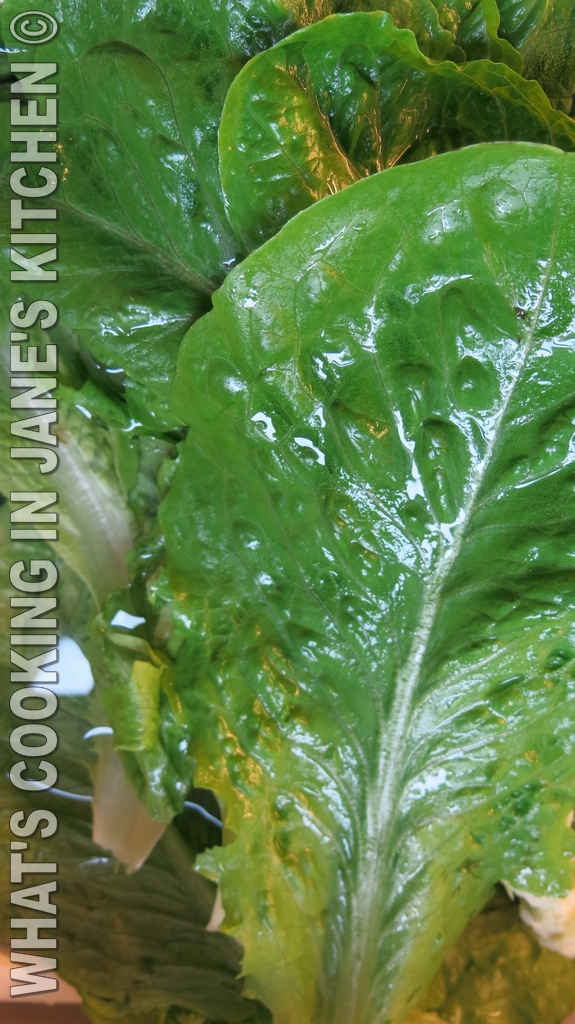 Greek Easter Soup ©