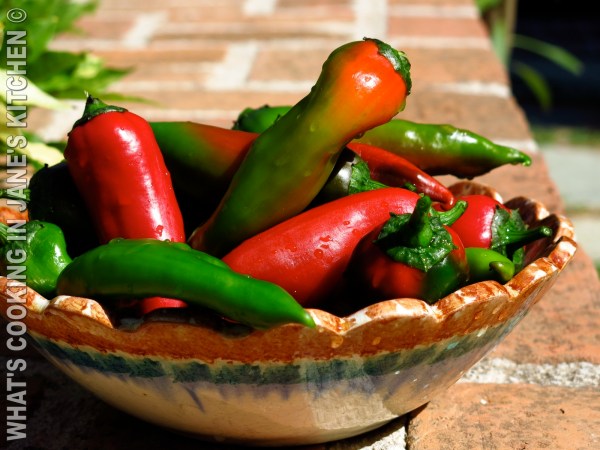 Stuffed Peppers With Cheese And Yogurt ©