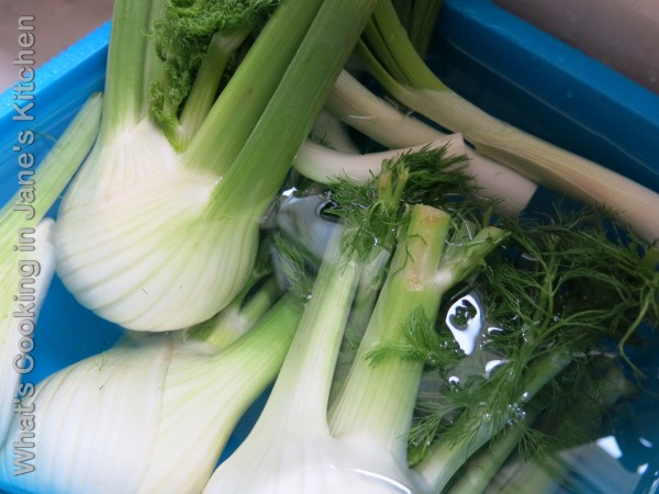 Cream Of Fennel Soup ©