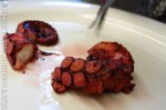 Octopus Stifado Â©