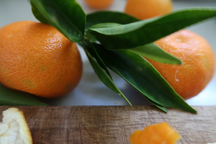 Clementine and Lime Yogurt Sweet ©