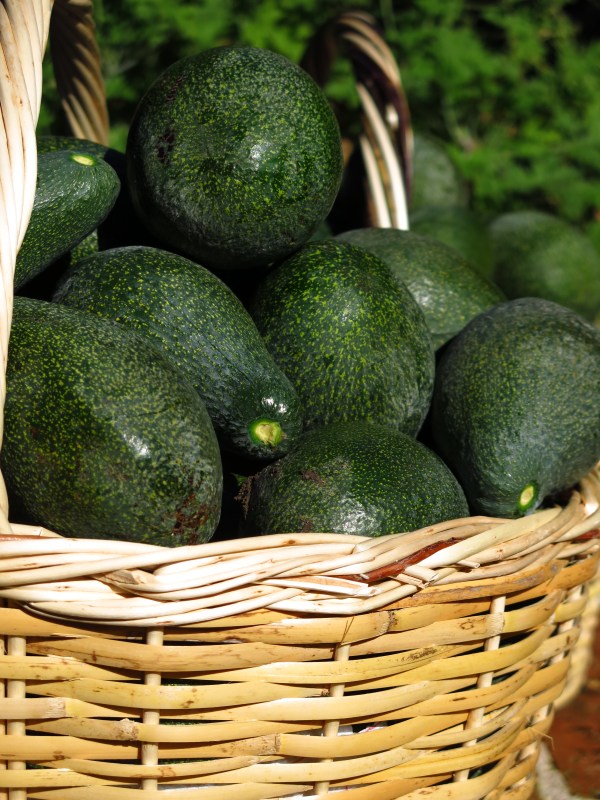 Avocado Vinaigrette And Pink Peppercorns ©