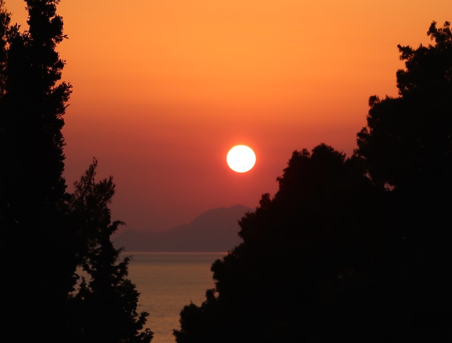 Summer Chilled Tomato Ginger Coriander And Lemon Grass Soup ©