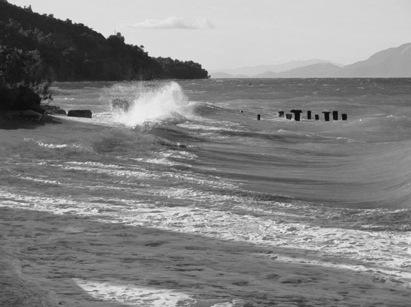 13508855_1198646366841958_2570592386374834804_n